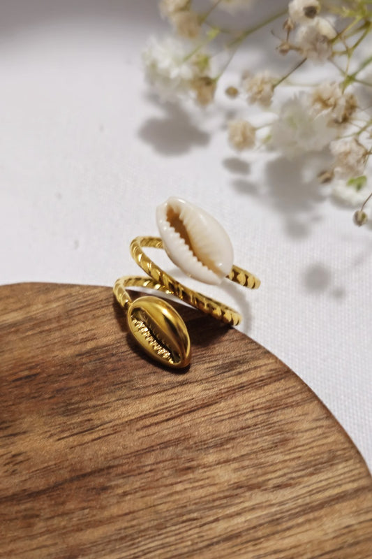 SHELL WE